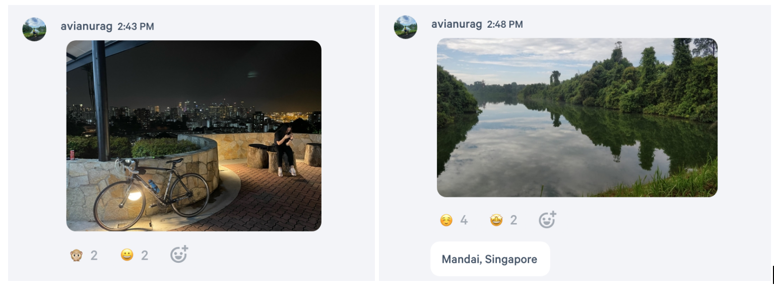 view of signapore from stridekick chat