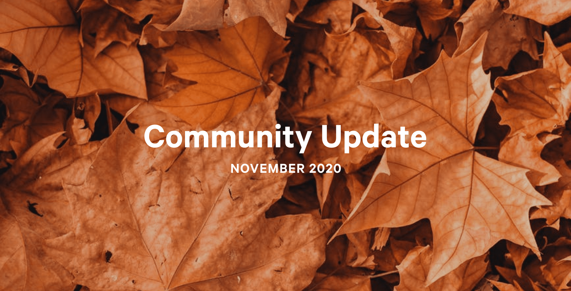 Community Update - November 2020 banner image