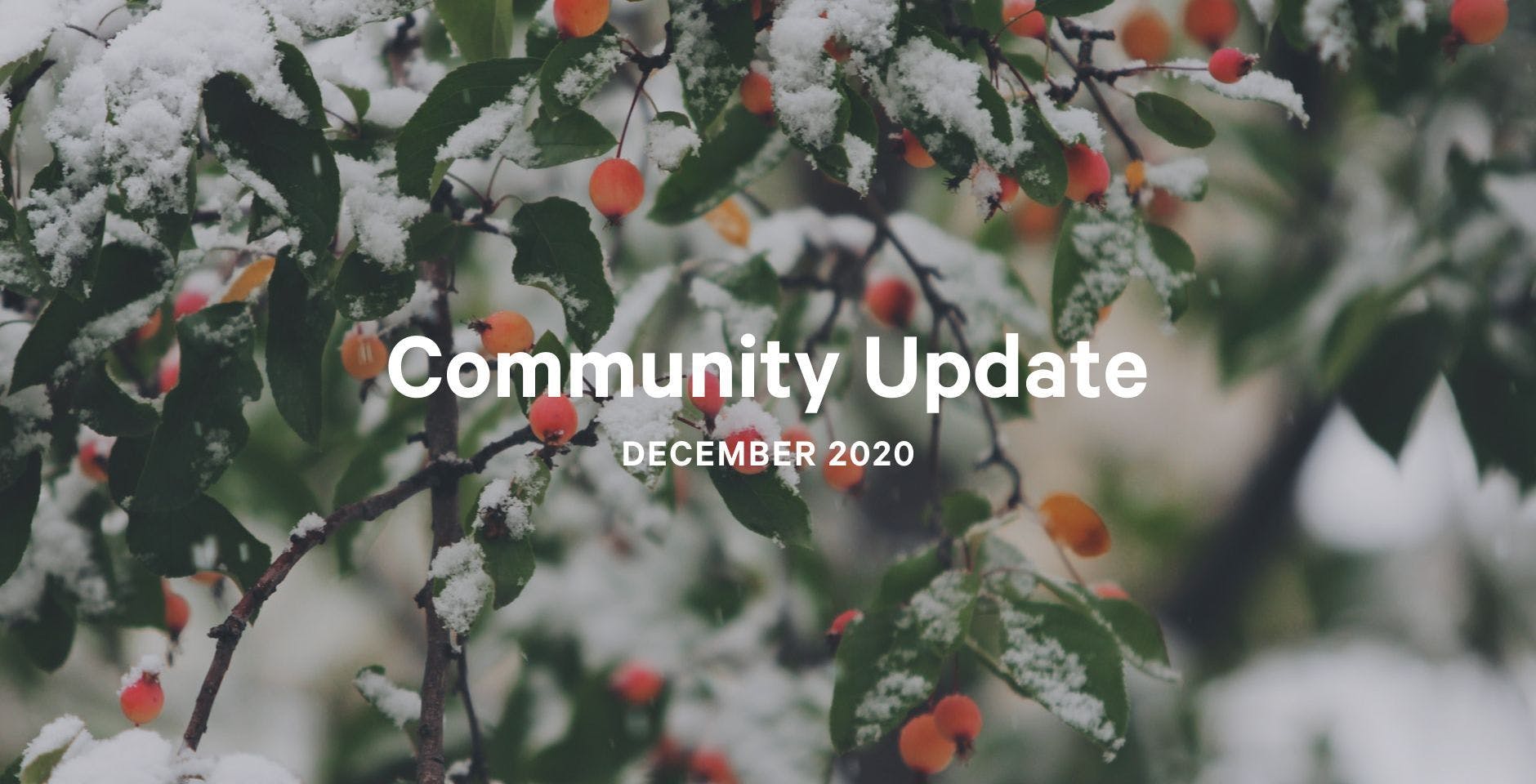 Community Update - December 2020 banner image