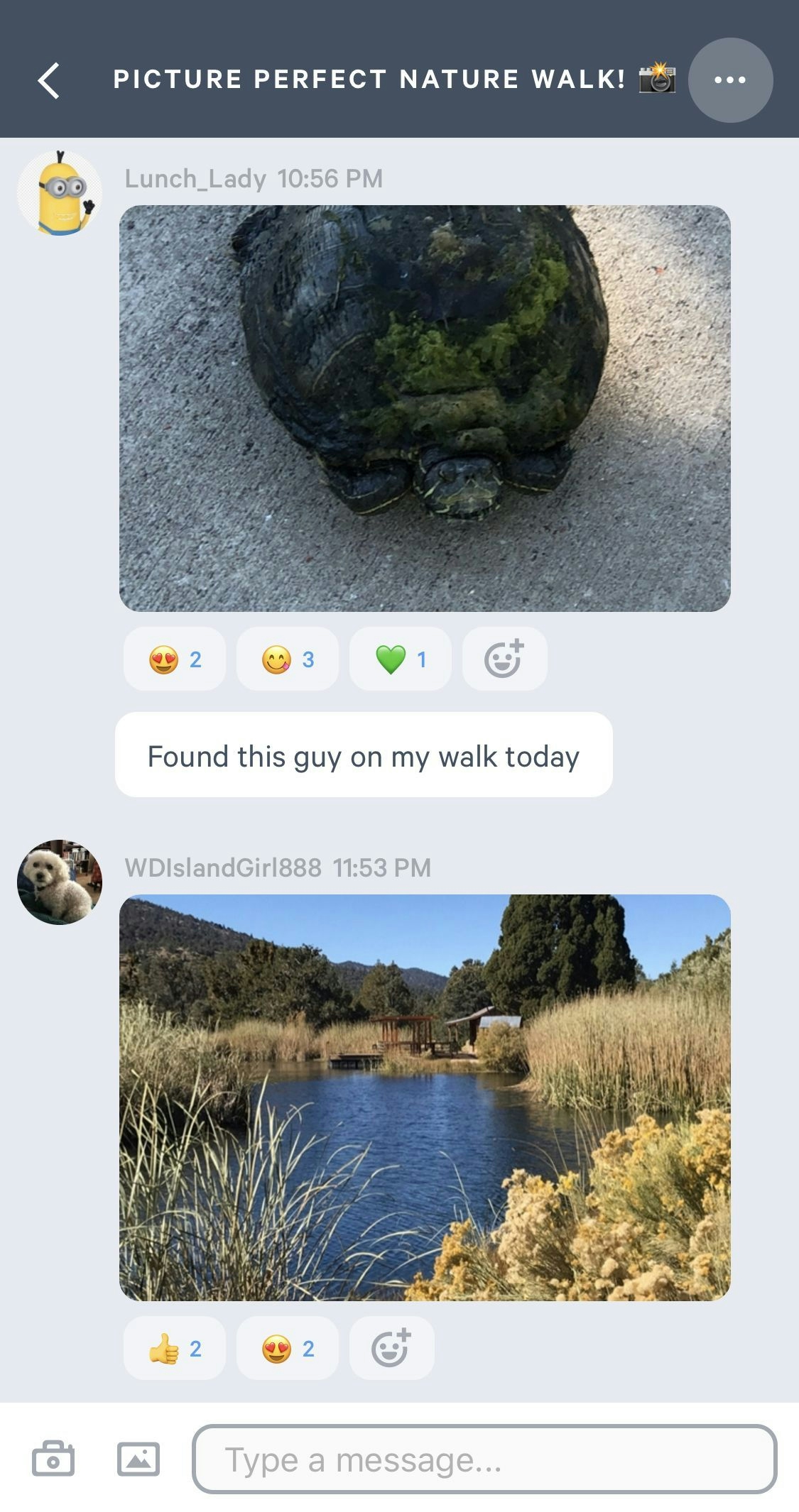 screenshot of nature walk from stridekick chat